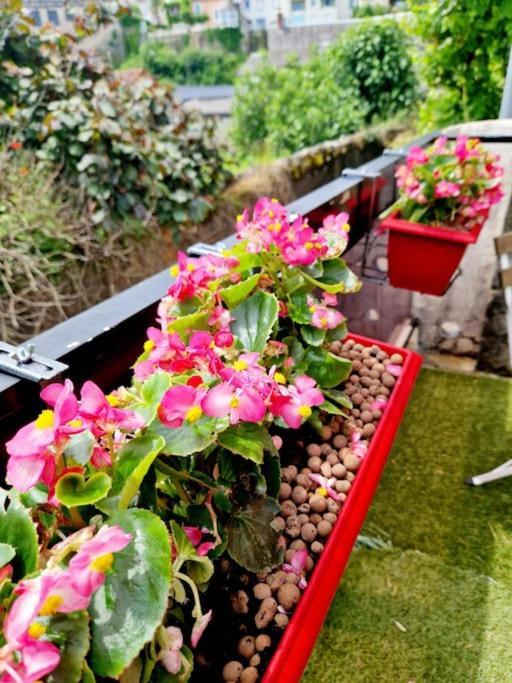 Maisonnette Du Foirail Espalion Ngoại thất bức ảnh